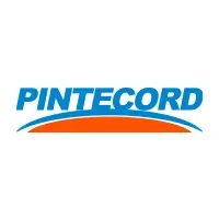 Pintecord
