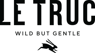 Logo Le Truc