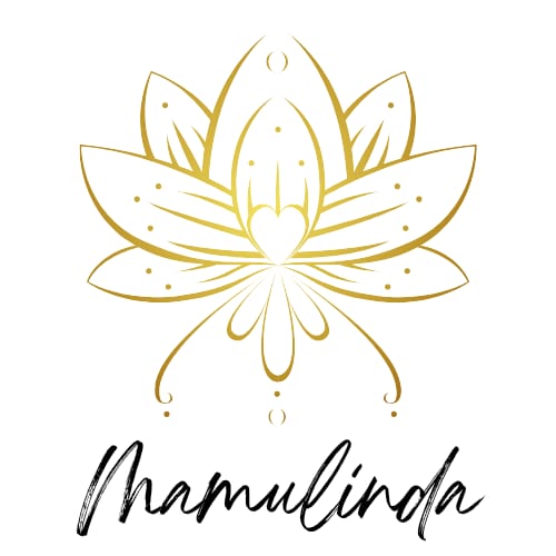 WhatsApp Image 2025-09-10 at 16.15.44