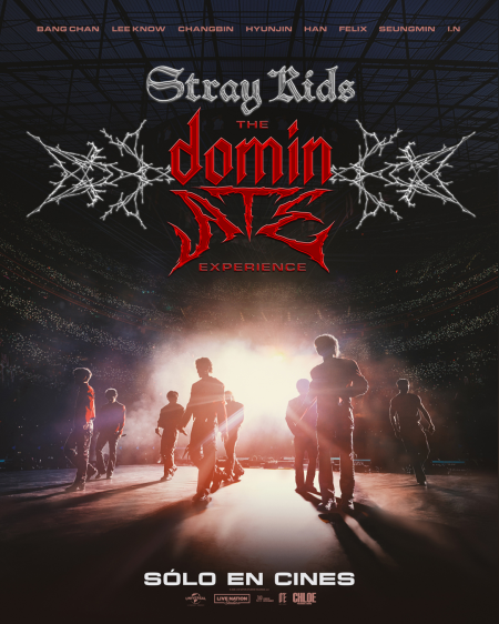 ESTRENO STRAY KIDS 2 D